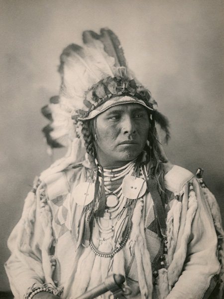 obra Spotted Jack Rabbit, Crow, 1898
