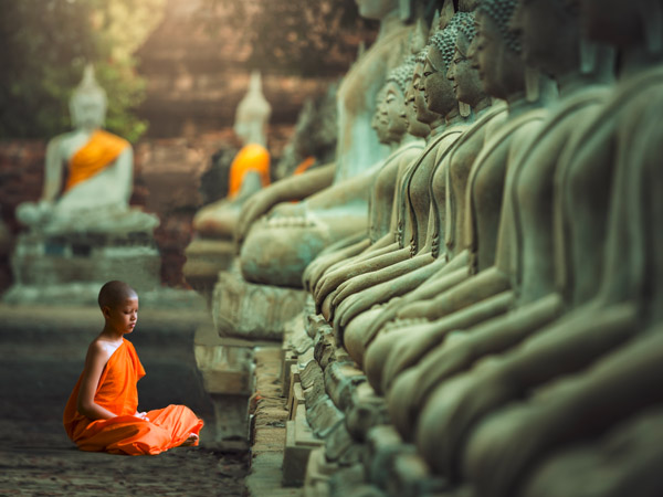 obra Young Buddhist Monk praying, Thailand