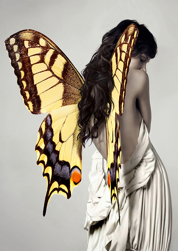 obra Winged Beauty #3