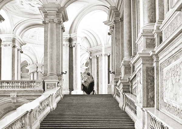 obra Luxurious Wilderness III