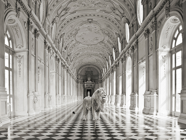 obra Luxurious Wilderness IV