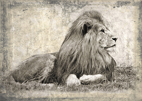 obra Memories of Africa I