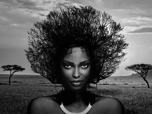 obra Serengeti Queen