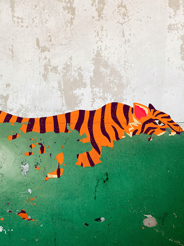 obra Plaster Tiger