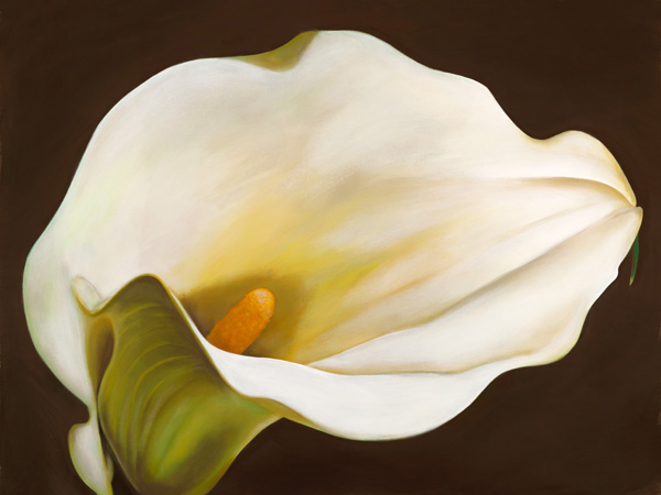 obra Calla