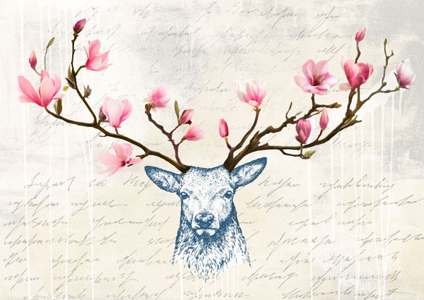 obra King of the Wilderness