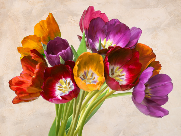 obra Tulipani danzanti